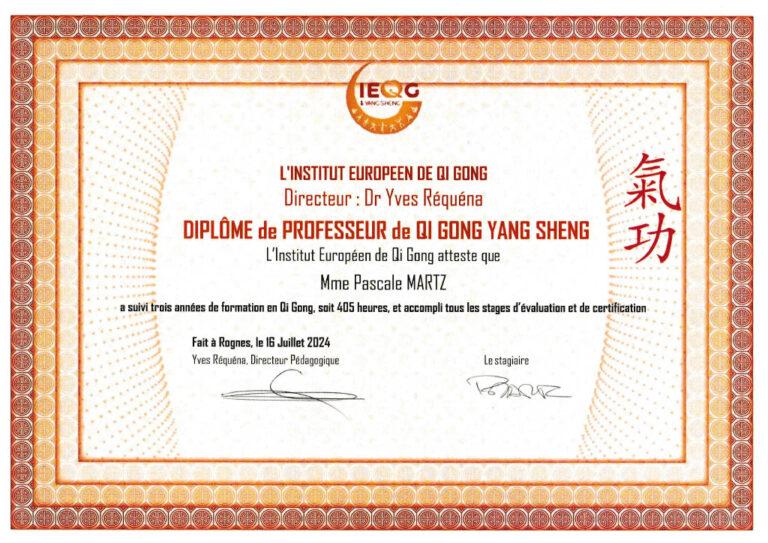 Diplôme professeur Qi Qong